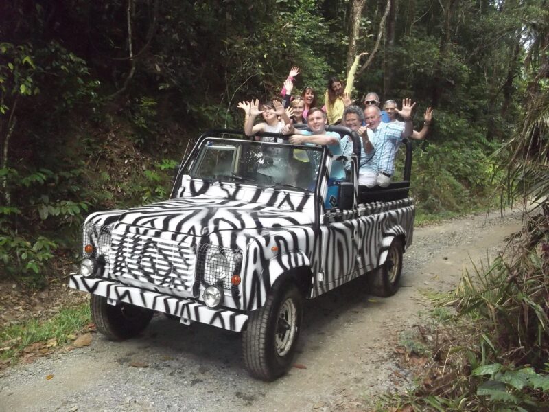 daintree-discovery-tours-rainforest-fabulous-car